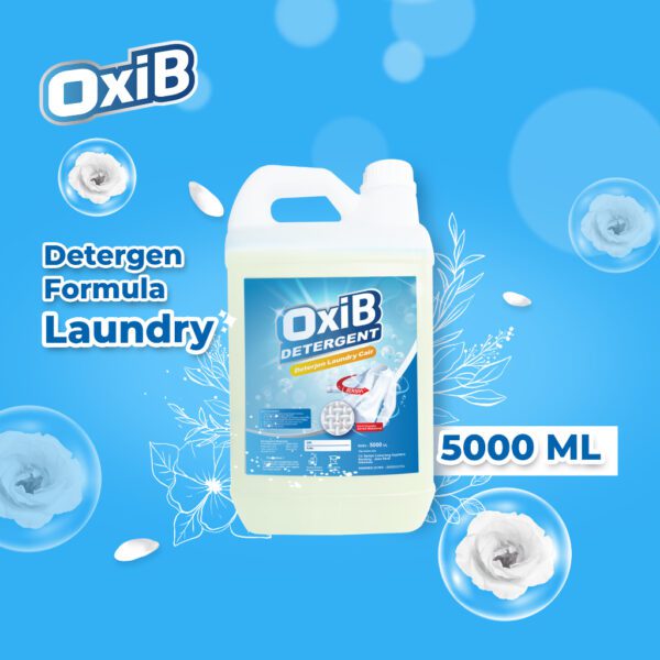 Oxib Detergent 4 Liter-V41